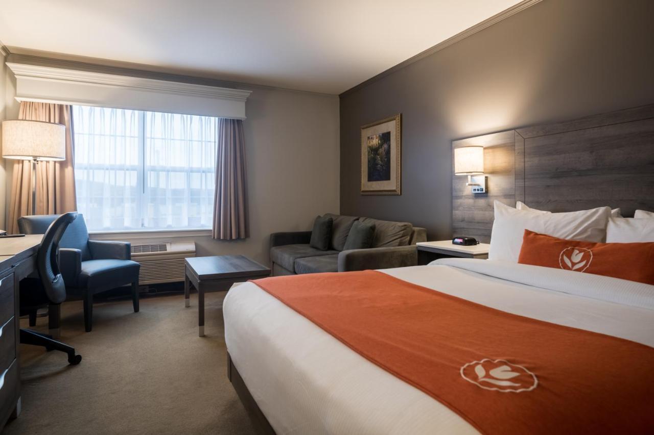 Amsterdam Inn & Suites Монктон Екстер'єр фото