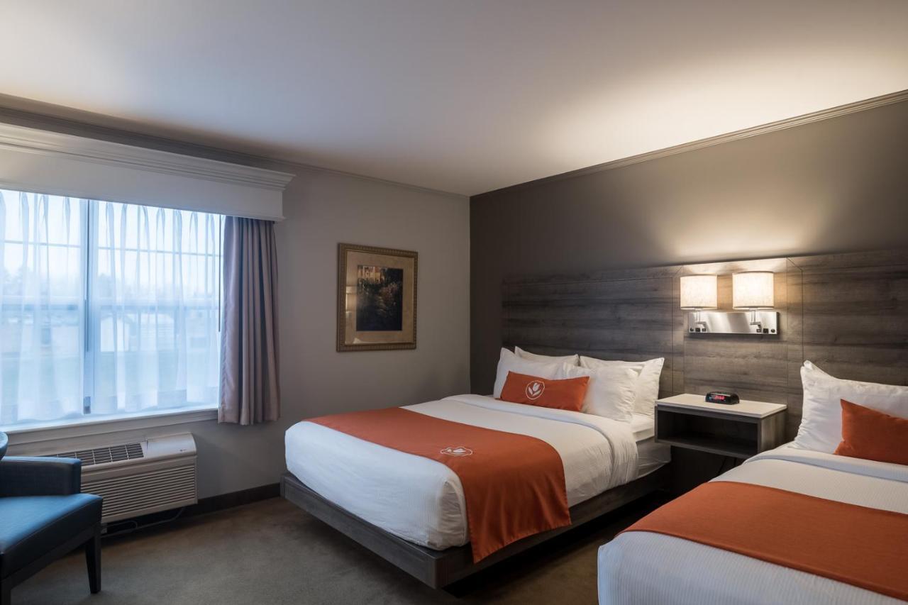 Amsterdam Inn & Suites Монктон Екстер'єр фото